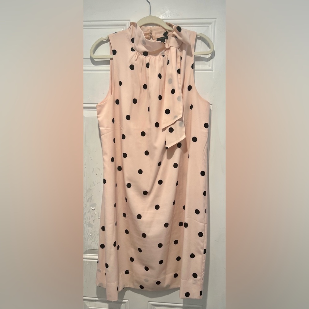Anne Taylor Factory Dress